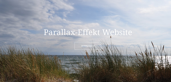 Demo Parallax Website